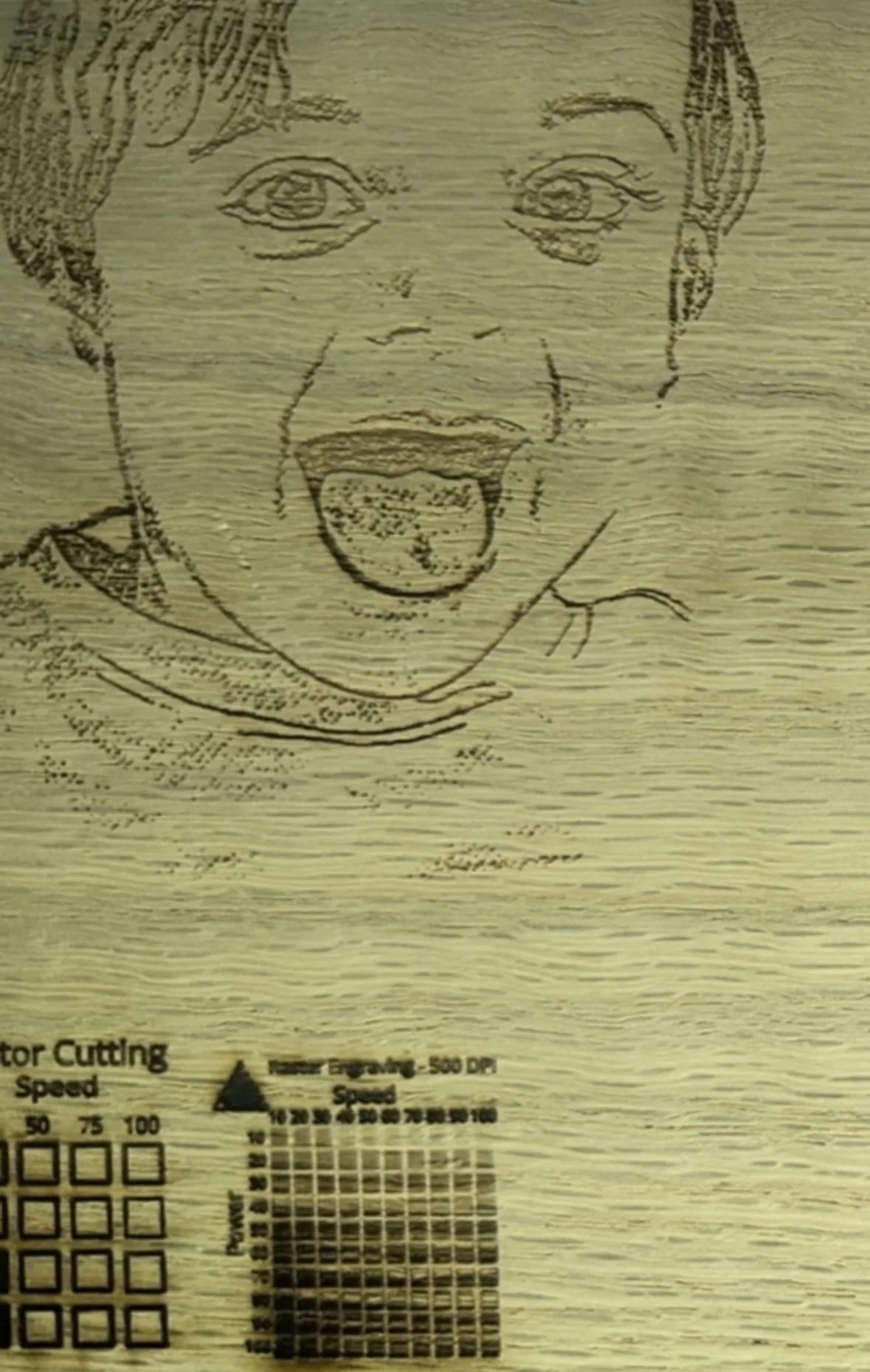 Brandeis Legacy Portrait